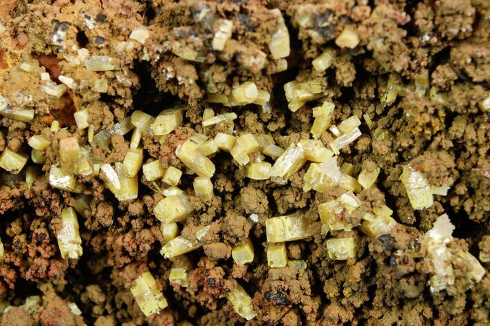 Tabular Orange Wulfenite Crystal On Matrix - Ojuela Mine, Mexico #356694